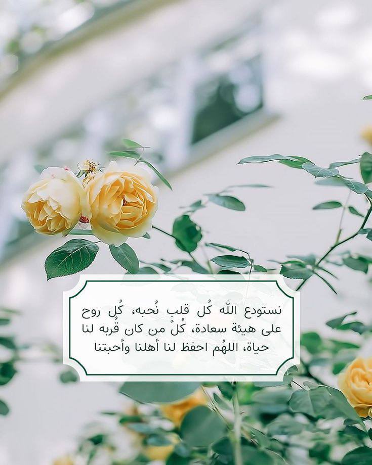 maa_587's tweet photo. https://t.co/FHP6ryMGR1