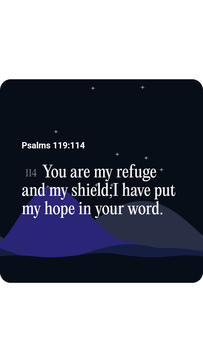 Psalms 119:114 NIV
[114] You are my refuge and my shield;I have put my hope in your word.

link.bible.app/link/Fx6E