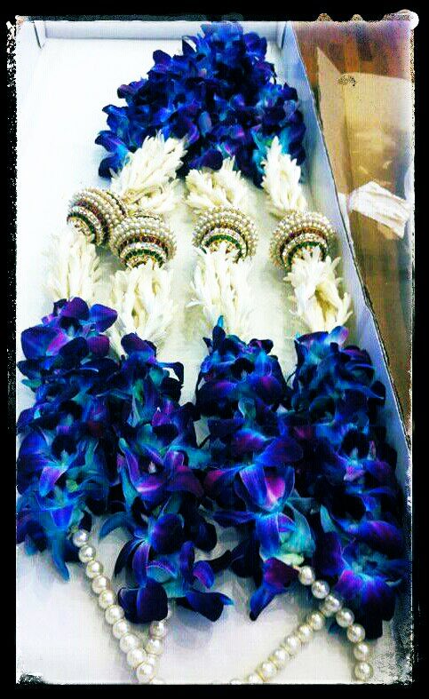 bmoh1's tweet photo. Flowers don’t worry about how they’re going to bloom. They just open up and turn toward the light and that makes them beautiful.”
#poooshop #flowers #weddingdecor #weddinggarland #decor https://t.co/6qyKw4aF4z