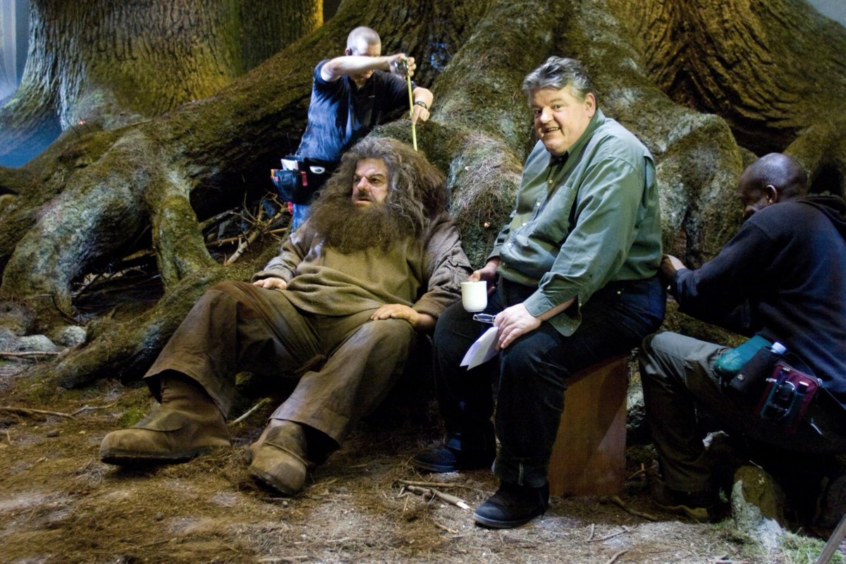 Some of the body doubles from Order of the Phoenix.