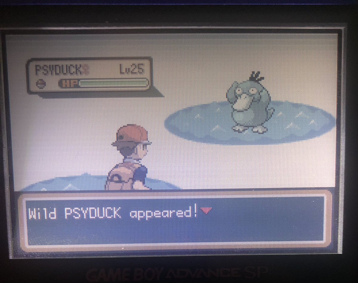 Holy Toledo shiny safari psyduck after 3735 encounters! Caught it on the second ball. I’m 4 for 4 on catching the shinies I’ve found this year so I think I’ll quit while I’m ahead #safariweek2023 #safariweek