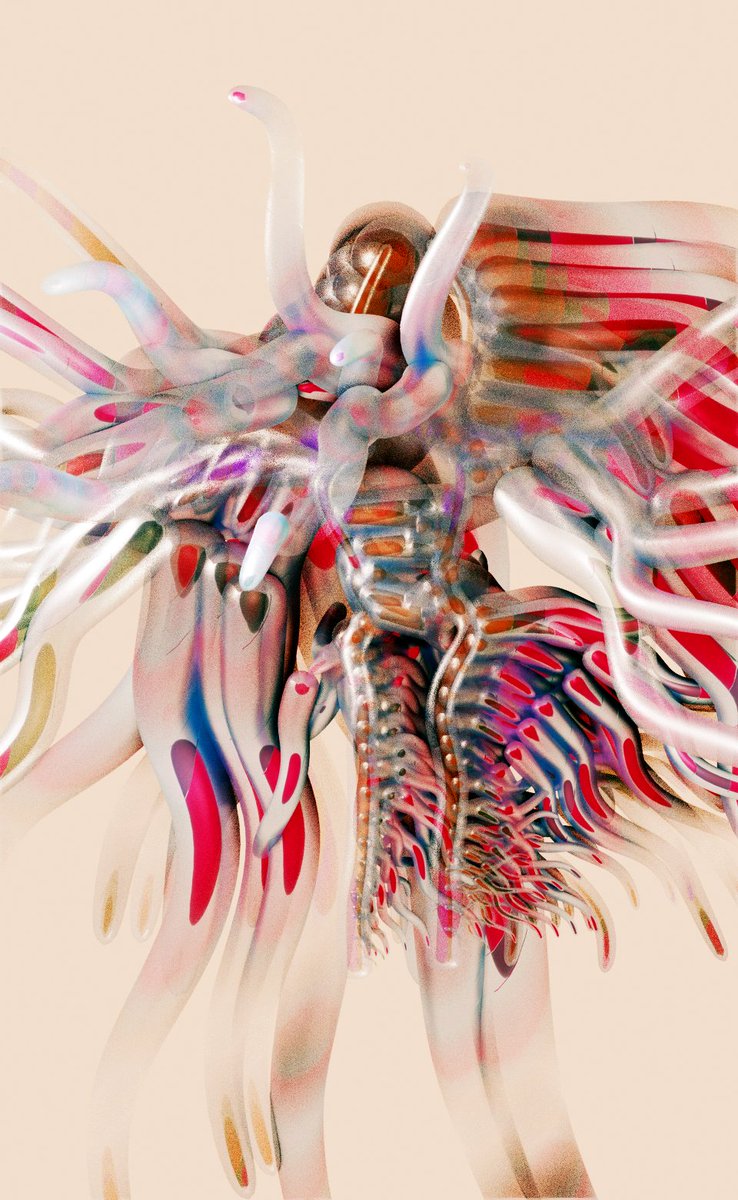 Shellworld (@shellworld1) on Twitter photo 