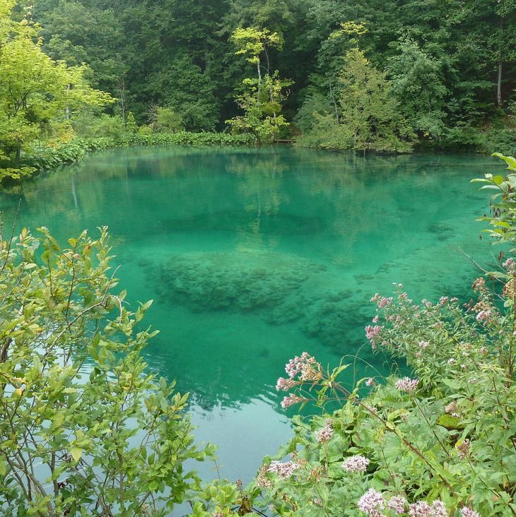 violettweets_'s tweet photo. i wanna be here. https://t.co/GvfDNwrf9p