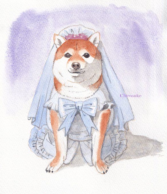 「花嫁 ウェディングドレス」のTwitter画像/イラスト(新着)｜3ページ目