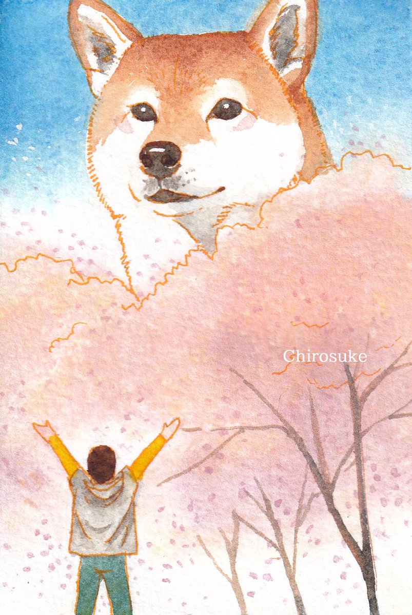 cherry blossoms dog 1boy animal pants arms up tree  illustration images