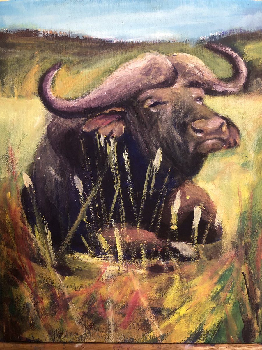 A resting African Buffalo.

#art #artist #painting  #acrylicpaint #canvas #brush #reality #dalilylife #painter #artistry #artistic #talent #passion #selfthaught #artistsplatform #selfpromotion #people #nature #followformore #newposteveryday #love #artafrica #painting #artafrica