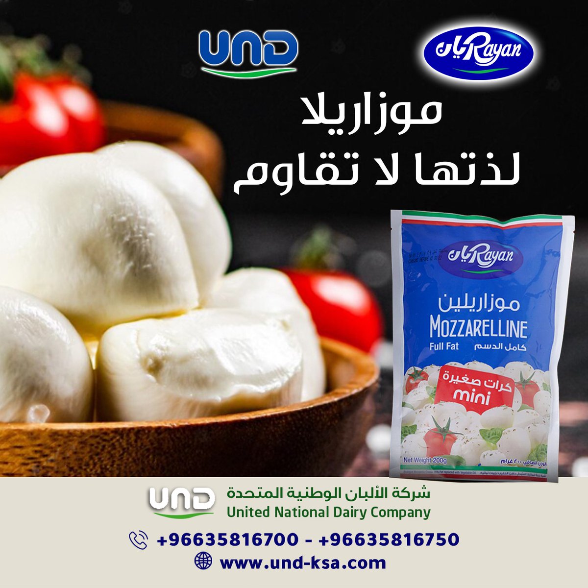 Rayan ريان tweet media