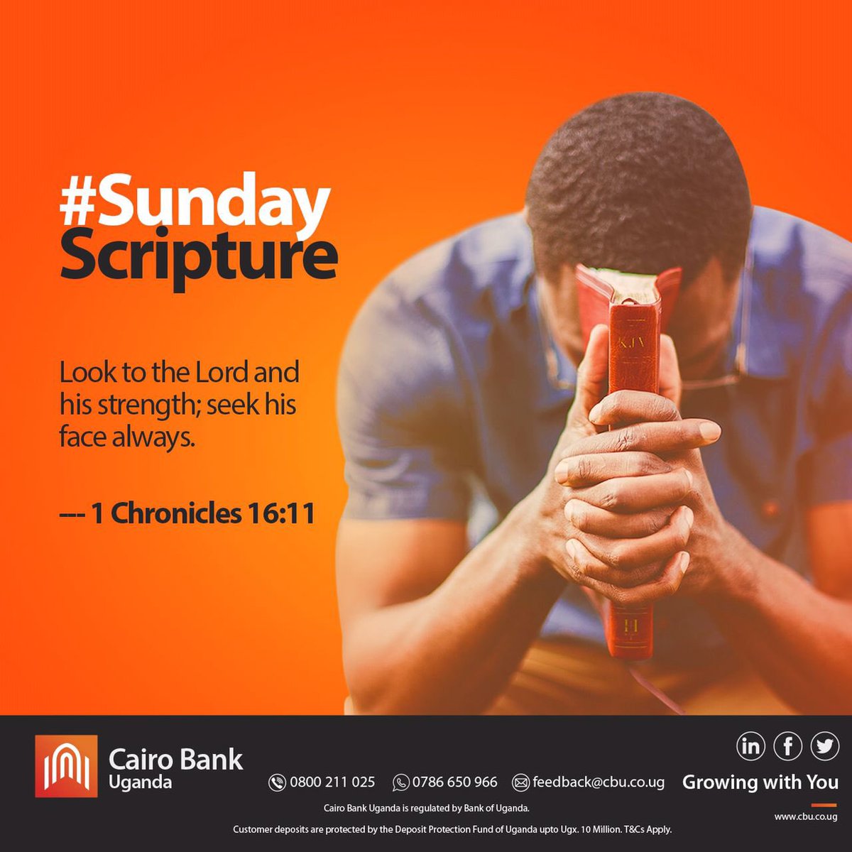 #SundayScripture 

#CairoBank #SundayService #SundayPrayer