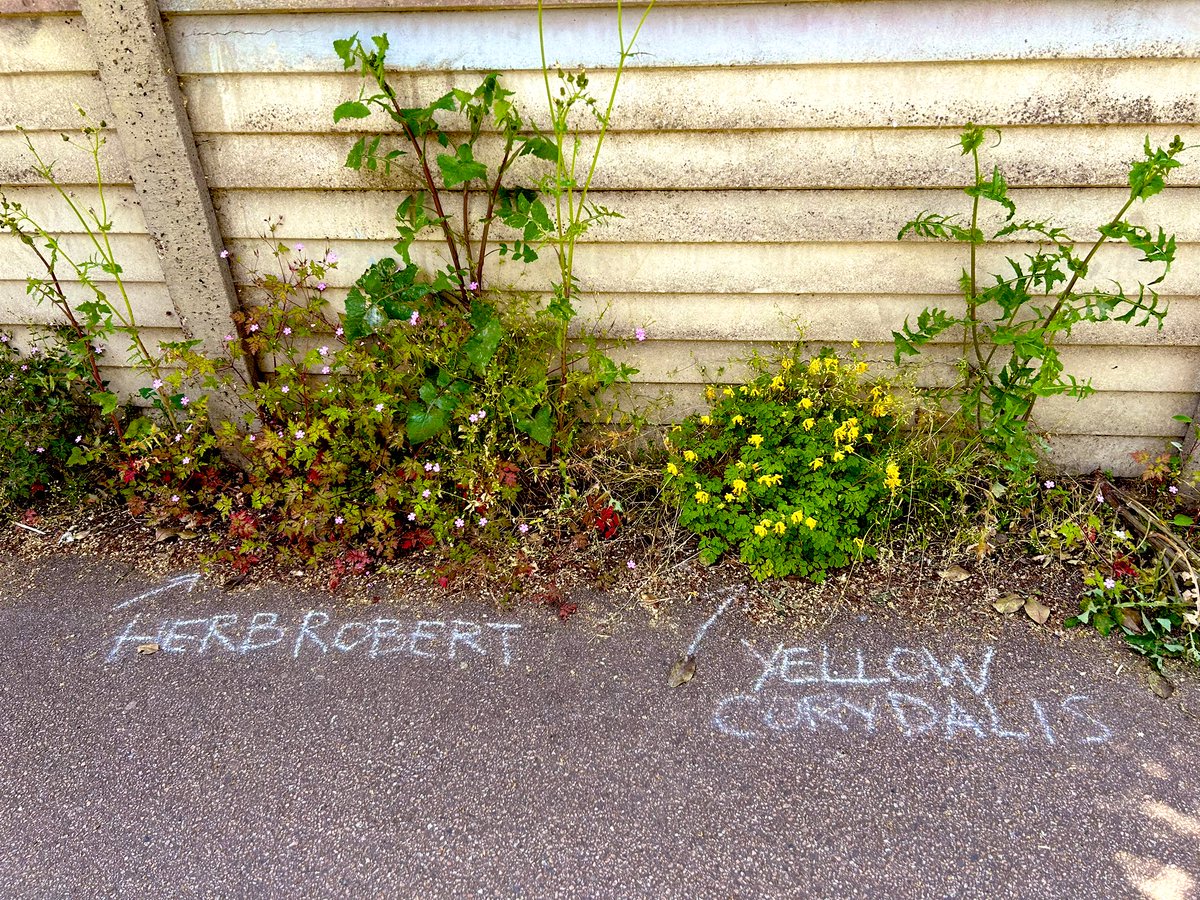 Carla Francome tweet media