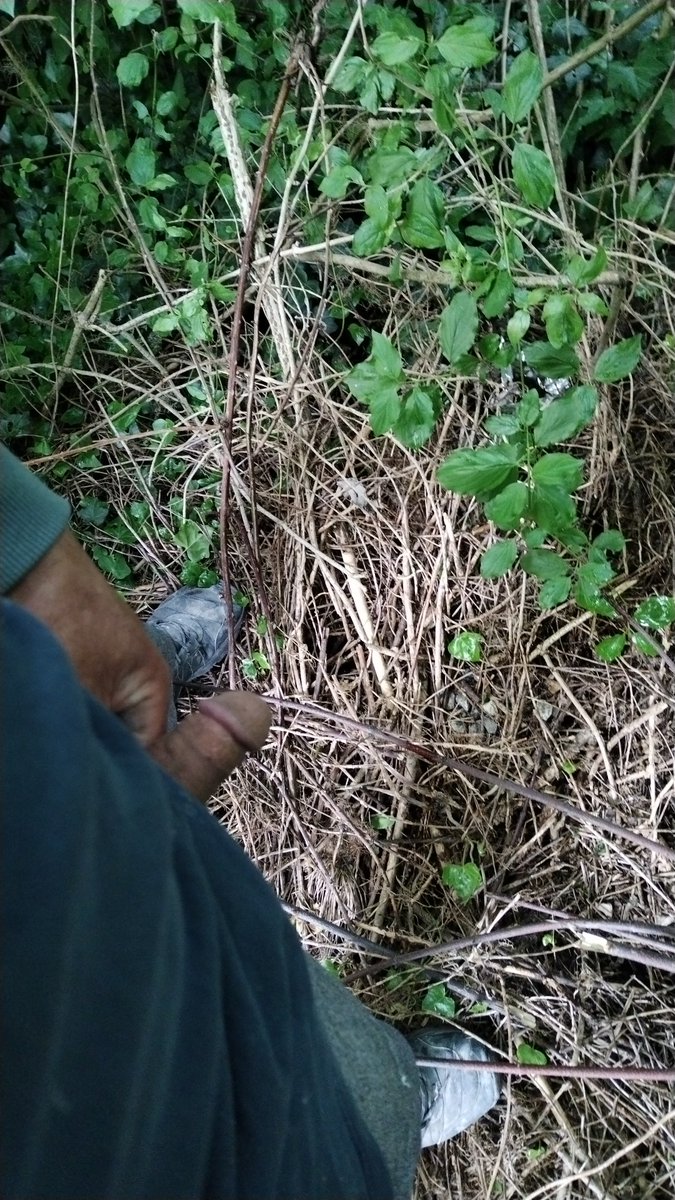 Dans là nature sûre Grenoble.
 qui veux venire ?