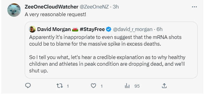 comms24_c24's tweet image. Nuremberg2 NOW #GENCONV #commonrule #Nuremberg2NOW