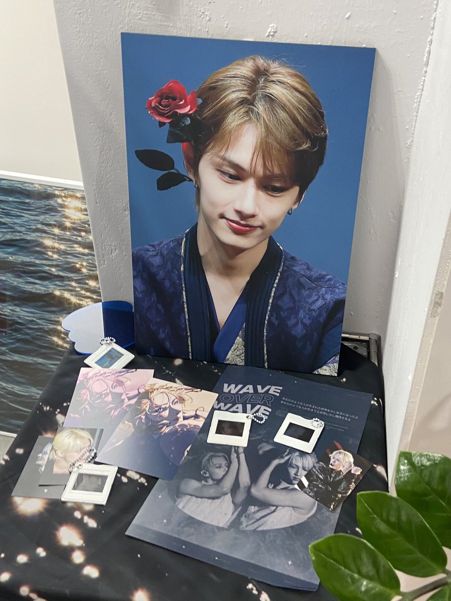 hwioming's tweet photo. 🍪𝐰𝐚𝐯𝐞 𝐨𝐯𝐞𝐫 𝐰𝐚𝐯𝐞 / 카페 어싸이드

액자들 눈에 다 담아왔는데 사진을 못 찍었어요ㅠㅠ 카페가 여러모로 시원해서 좋았어요 진짜 시원함 + 준이 웨이브
아쉽지먼 지금은 못 사는 인형들이랑 나오하 디피해주신거 최고><

#파도가_되어_준
#Dive_into_JUN https://t.co/sQqz25Csck