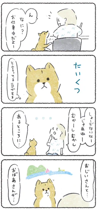 #柴犬大好き えー!かわいいタグ〜!☺️ だいすきだよ!☺️