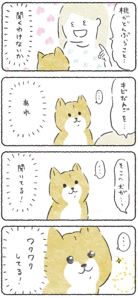 #柴犬大好き えー!かわいいタグ〜!☺️ だいすきだよ!☺️