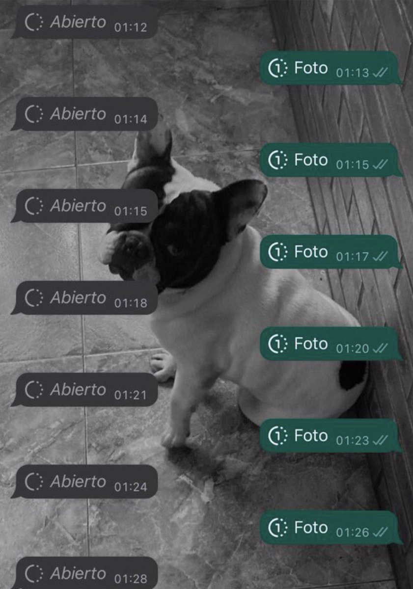 amo las conversaciones así >>>>>