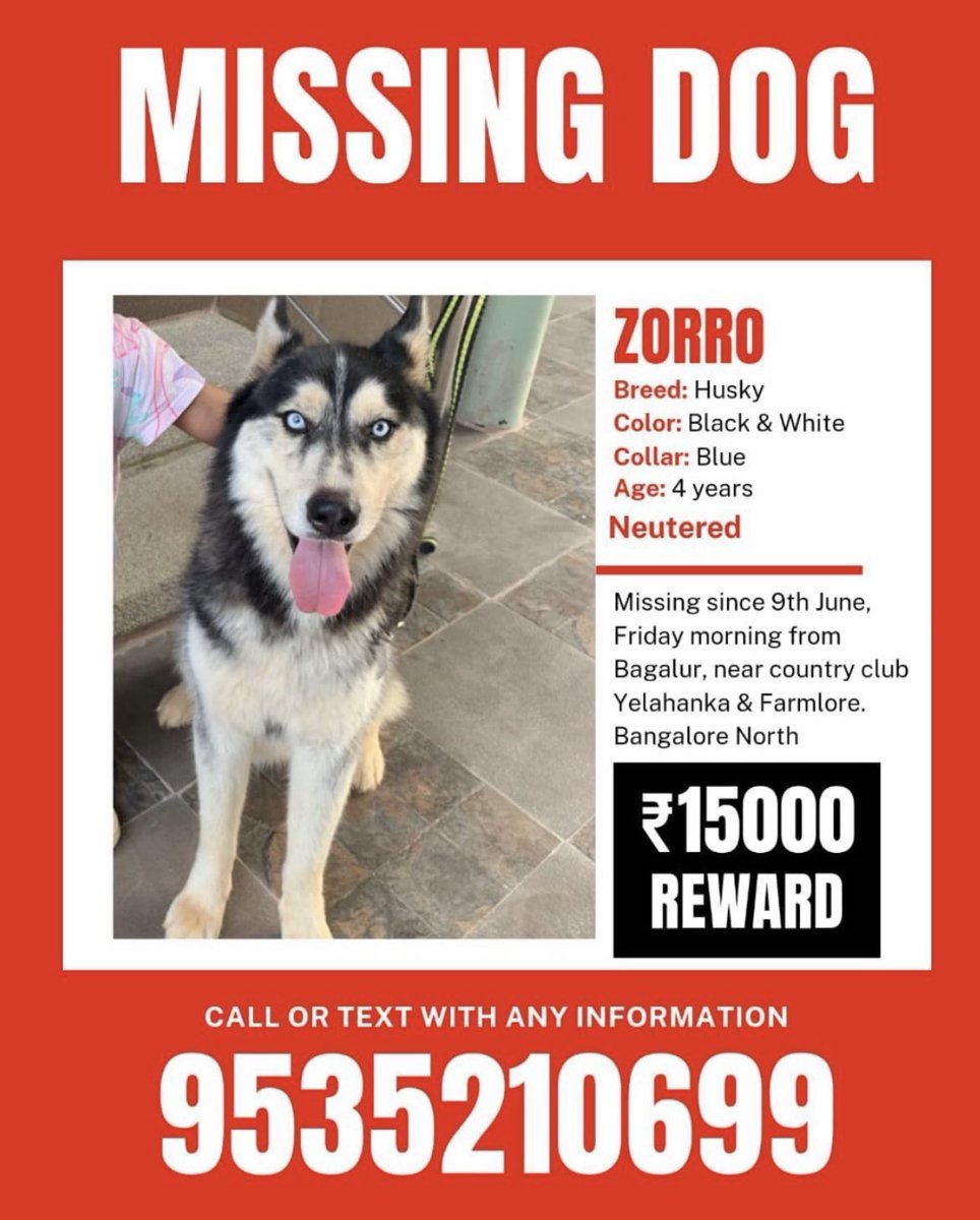 Please RT and help find this pooch #bangalore 🙏