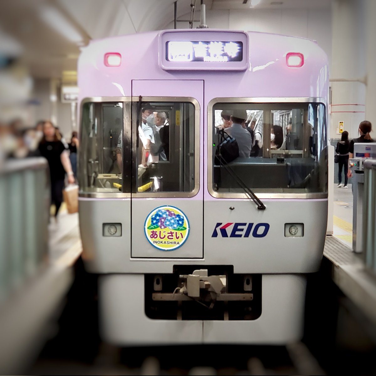 tw_linlin's tweet photo. 京王井の頭線で、あじさいのヘッドマーク📸
期間は6月23日まで。使用車両は1000系5両1編成
#お写んぽ #京王線 #鉄子 #train #KeioLine
#井の頭線 #ヘッドマーク #紫陽花 #あじさい https://t.co/3xJtEOldZQ