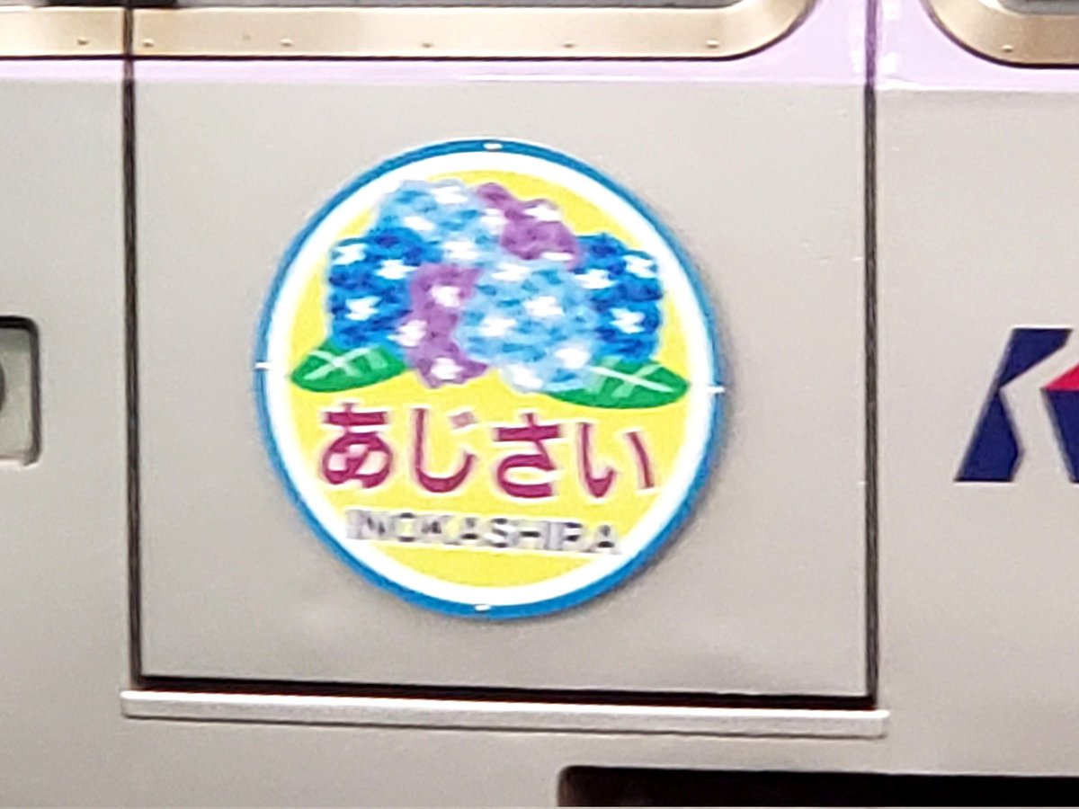 tw_linlin's tweet photo. 京王井の頭線で、あじさいのヘッドマーク📸
期間は6月23日まで。使用車両は1000系5両1編成
#お写んぽ #京王線 #鉄子 #train #KeioLine
#井の頭線 #ヘッドマーク #紫陽花 #あじさい https://t.co/3xJtEOldZQ