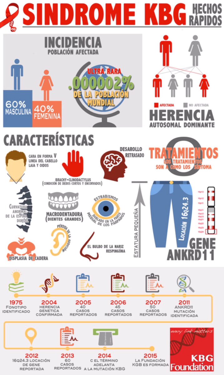 NoInvisibles's tweet photo. Es #DiaInternacionalSindromeKBG #IntKBGday #KBGAwarenessDay
A quienes trabajáis en mejorar, investigar y visibilizar #KBG nuestro apoyo y fuerza @KbgEspana‼️
Las hojas🎈de nuestro árbol,…hoy son vuestras‼️
#KBGSyndrome @KBGFdn
Conoce a Iker👇@bperezrod
https://t.co/HqaYKUJgde https://t.co/xdZa0W0rRB