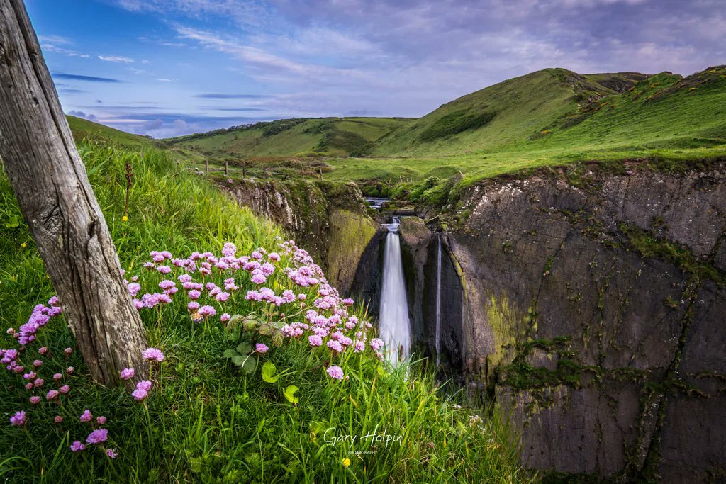 Gary Holpin | Photography tweet media