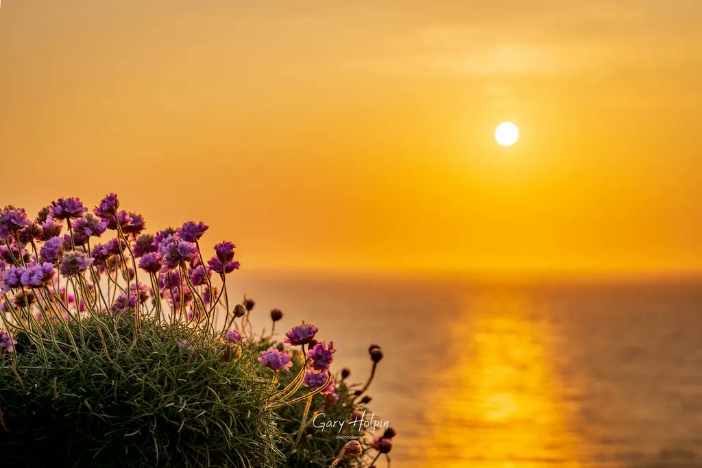 Gary Holpin | Photography tweet media