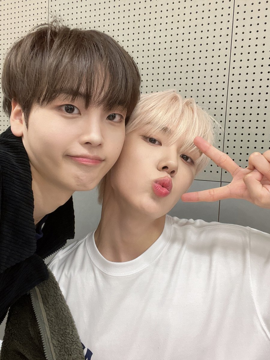 베개즈는.건들지마라
나도안건들였다
우리의.사랑이다 베개즈는