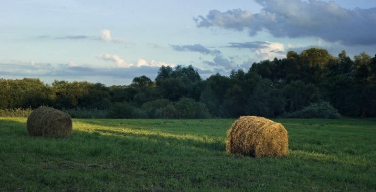 PrayerIreland's tweet photo. New devotional up today ‘Ruth Happened to Glean.’ https://t.co/fk44FMS6mV  #prayerireland https://t.co/bPnsPDbvcl