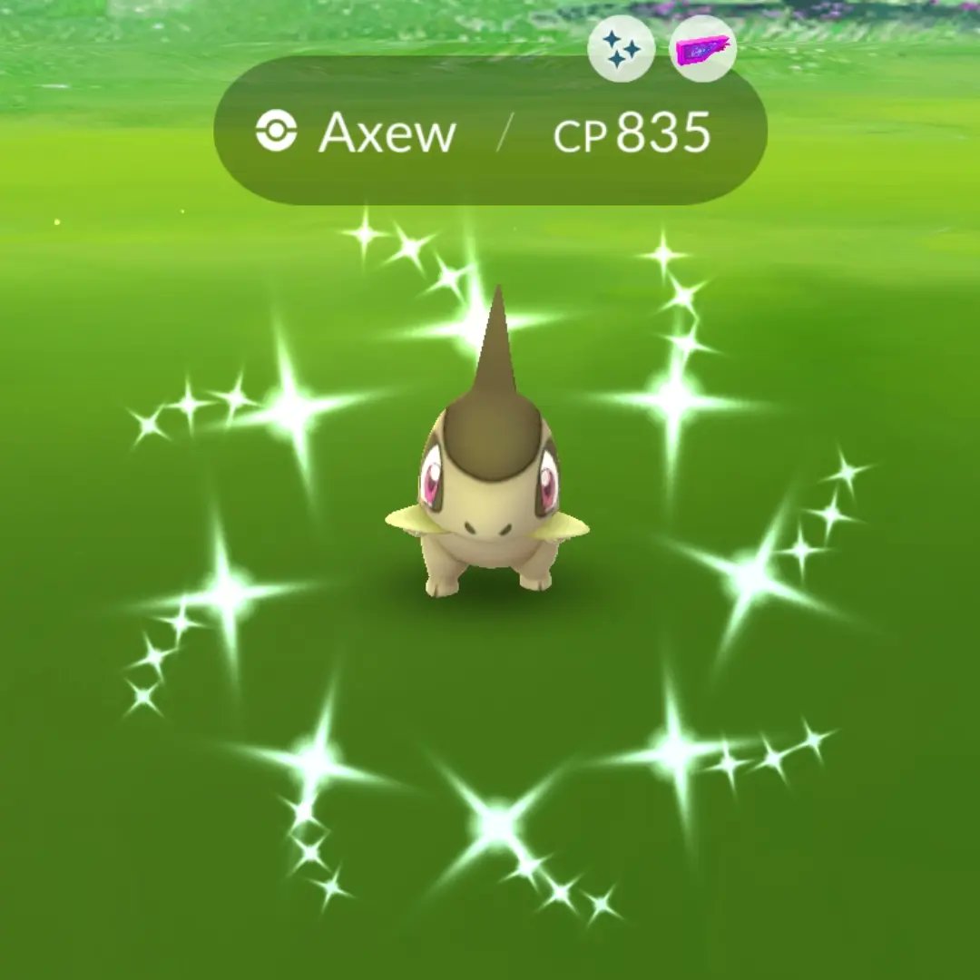 Zofie_13's tweet photo. Had a great #AxewCommunityDay
#shinyAxew #shinyPokemon #PokemonGO https://t.co/c9bVeKkYH7