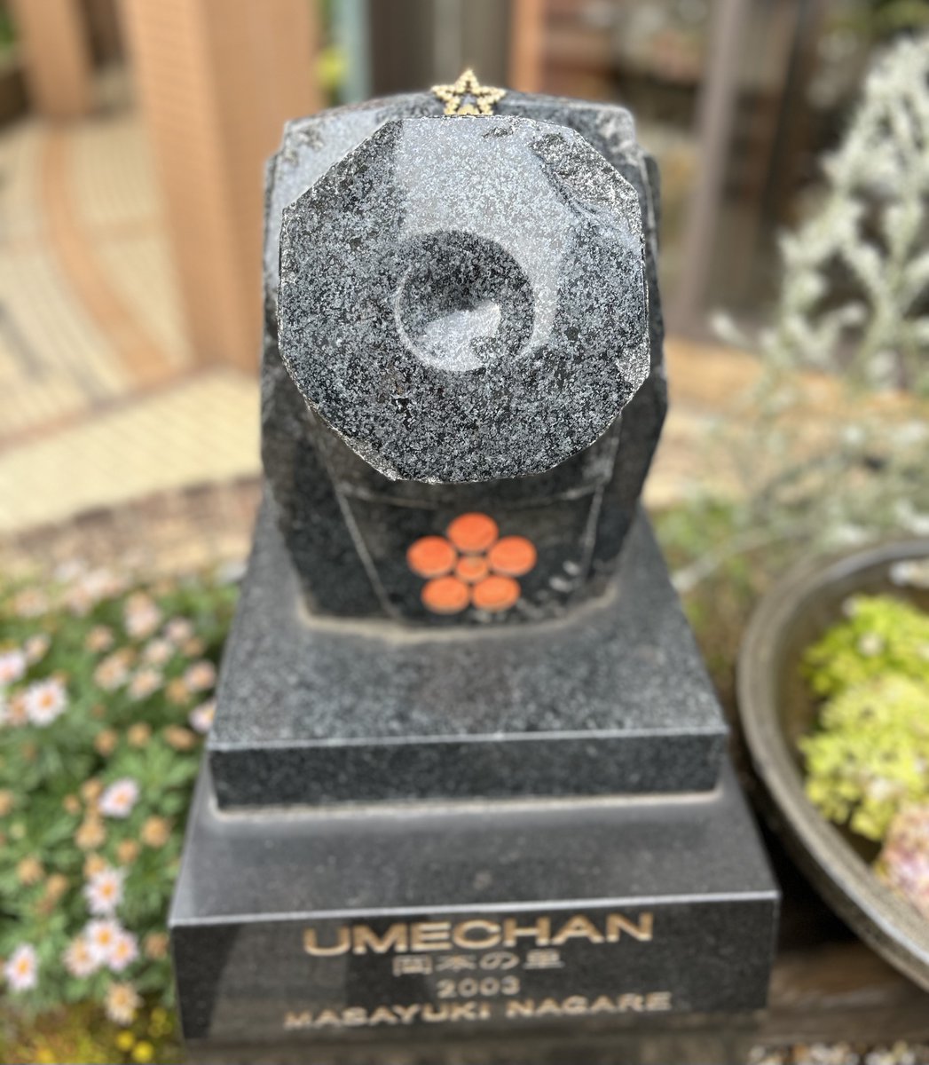 horemheb_18's tweet photo. 昨日見たウメちゃんは、頭にどこかの子が落としたお星様を乗っけていてかわゆかったです☺️
#UMECHAN #流政之 https://t.co/sWI0Xkp4wN