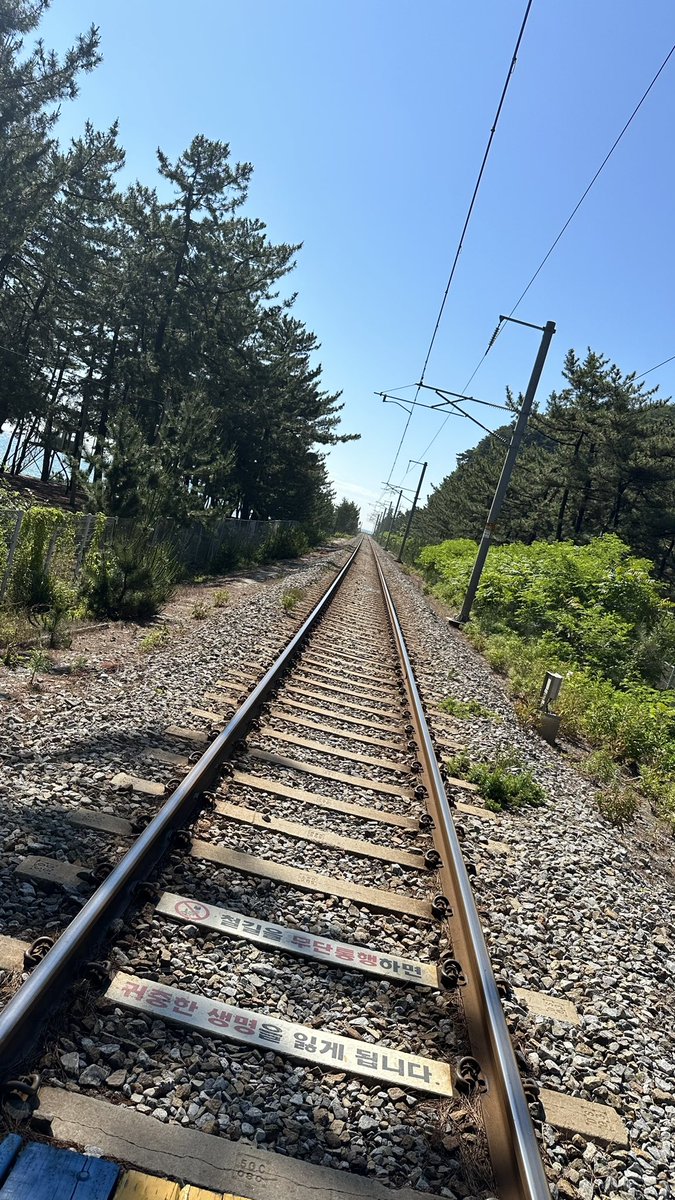 taeng805's tweet photo. took a spur of the moment trip a few days ago to gangneung and donghae to recreate snsd’s trip from soshitamtam… best decision ever, we had so much fun and it was a beautiful day! 💕 https://t.co/dNPIPLBnF7