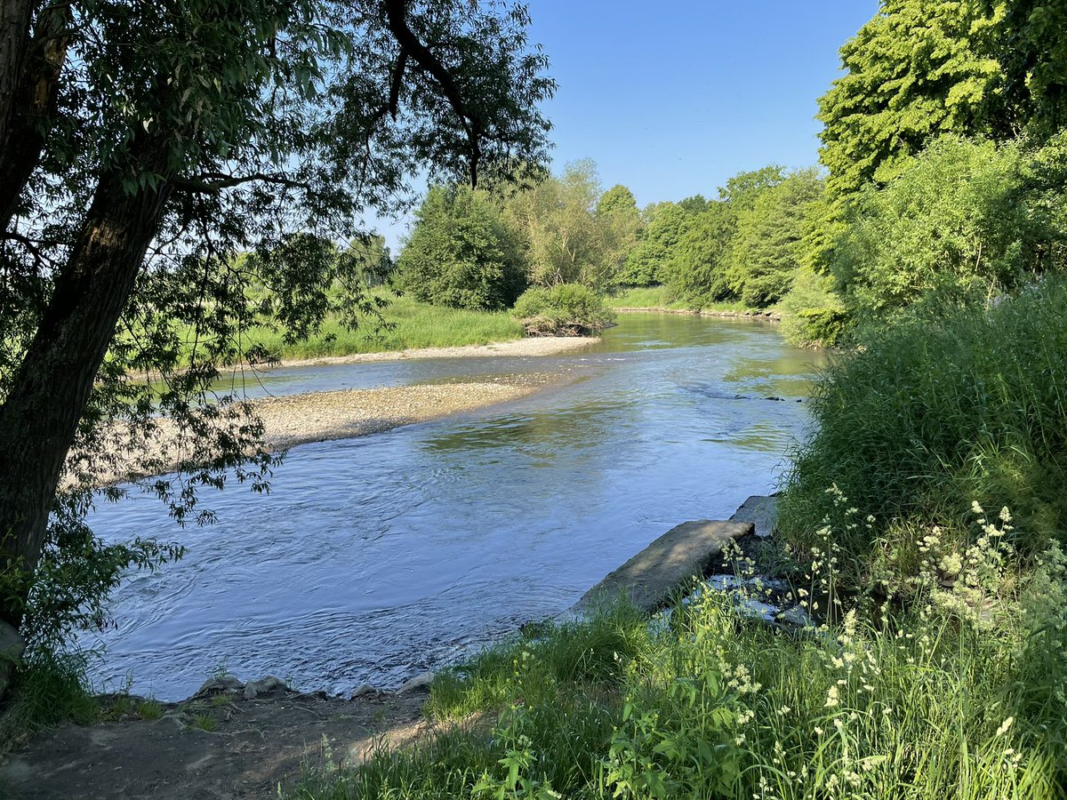 Von Schwerte an der Ruhr zu Phoenix-West 🚴🏿‍♂️ und hallo Google Maps, die Steigung war aber eher nicht moderat.