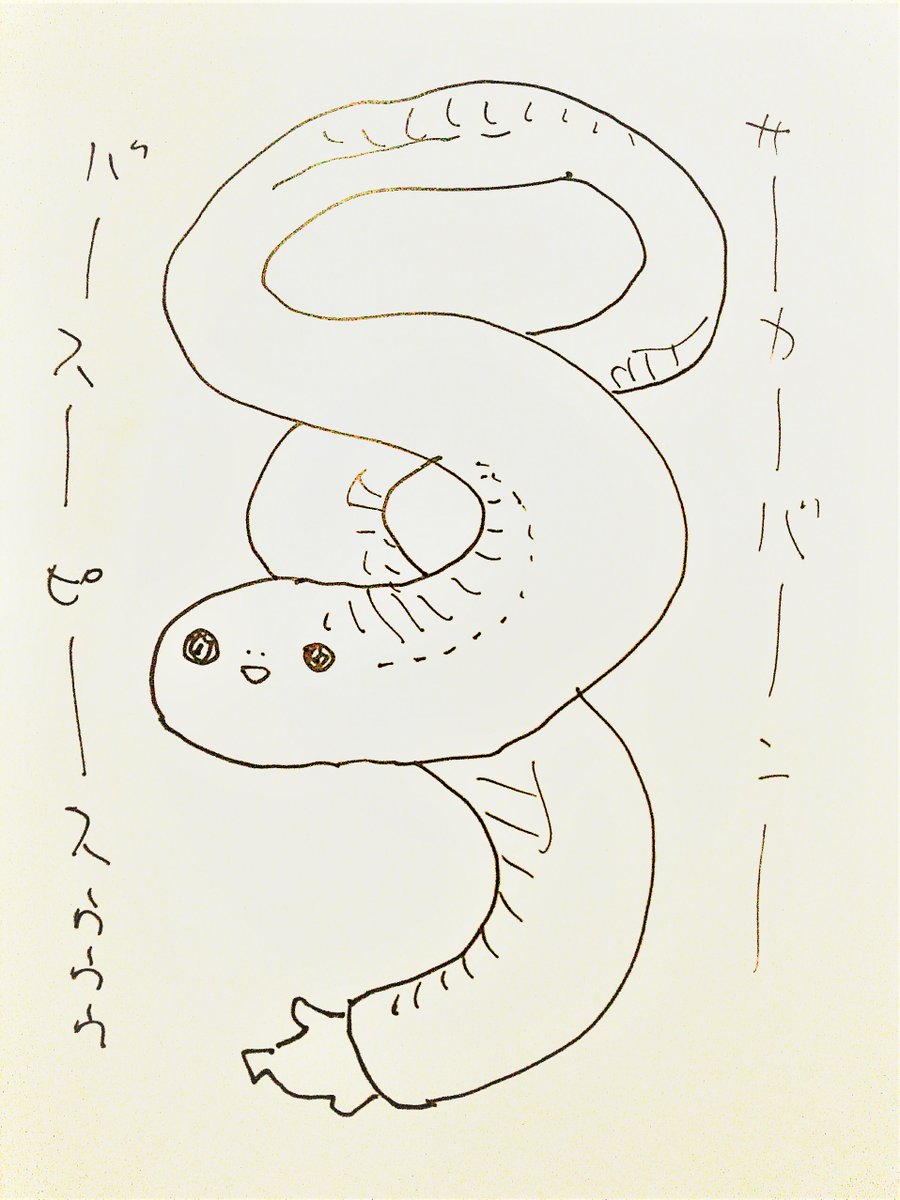 長いやつ。 