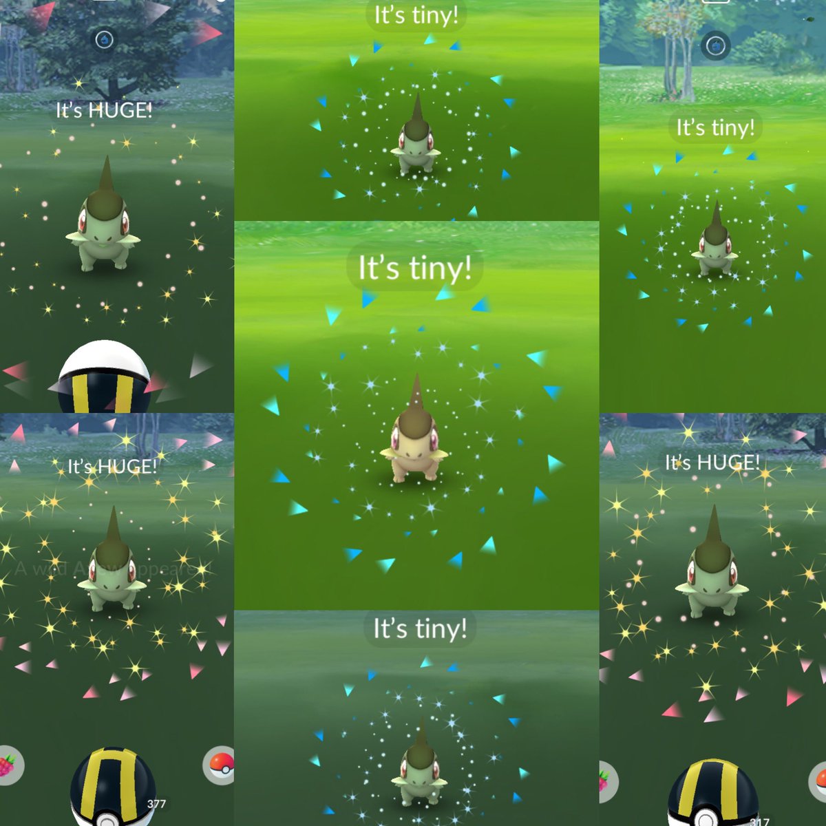 Maioking tweet media