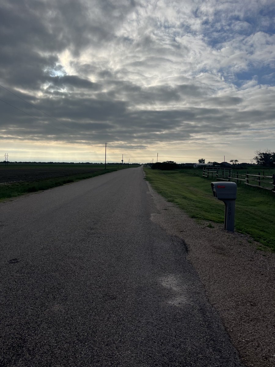 Getting back in shape after plant23 and spray23.  Satin wanted me to quit At the mailbox. I persisted and went to the east corner of the cemetery   I win