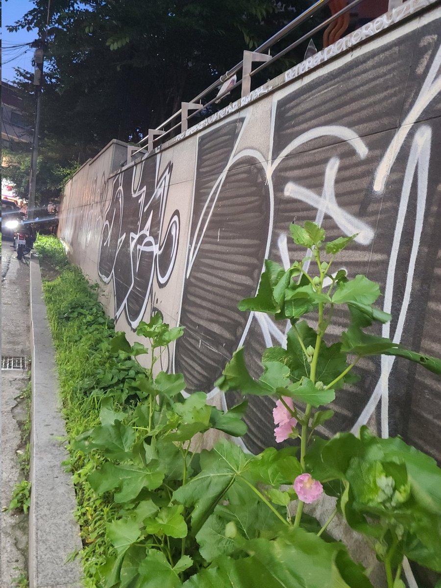 영화 #자우림더원더랜드 {무대인사 (#김윤아 #이선규 #김진만) 포함 상영분} 관람 &연남동일대산책후, 합정동지나, #큐티파이_것도먹어봐 #CutiePie2YouFM_...