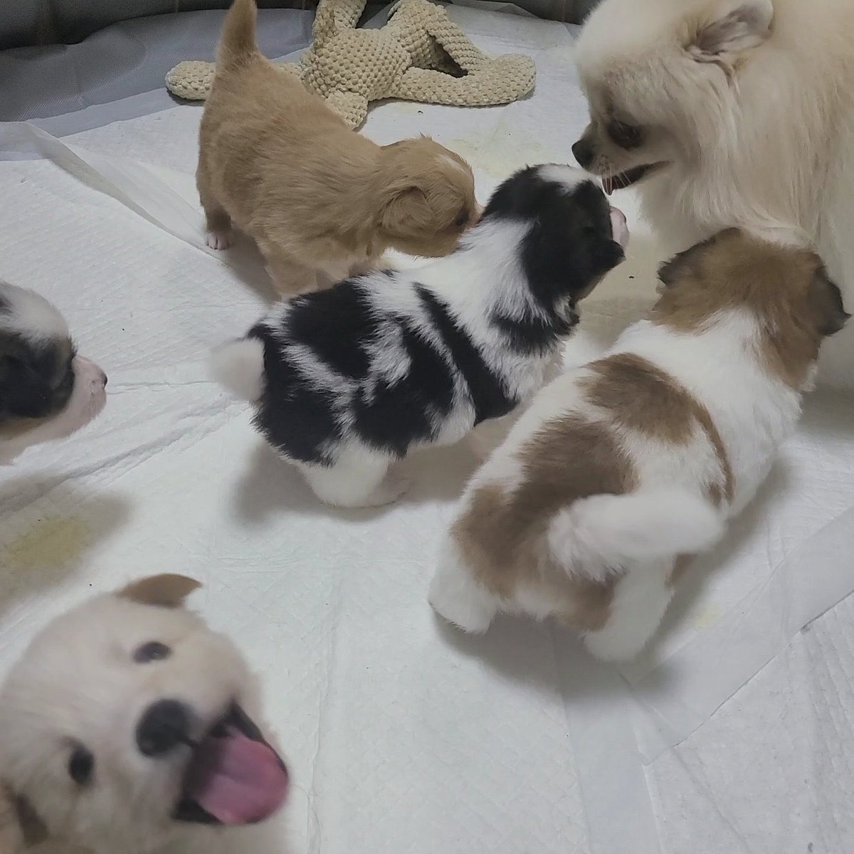 มีตัวนึงที่ดื้อสุด