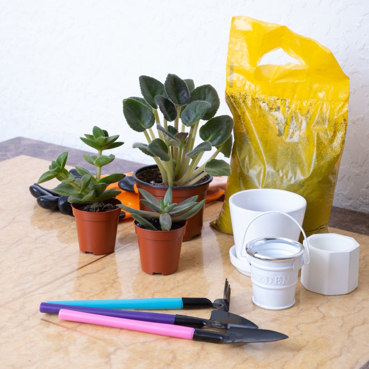 Join us tomorrow, Monday 12th June at 11am, for GIAG Plant and Paint. 🪴 Bring along a plant pot, jar or container and get creative with paint pens then plant it up! Book now: bit.ly/42kZhN3