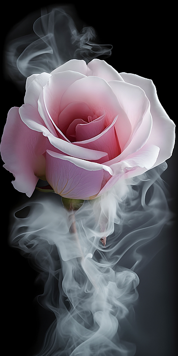 New artwork for sale! - 'Gentle pink rose with smock around, on dark background, AI gener' - fineartamerica.com/featured/1-gen… @fineartamerica