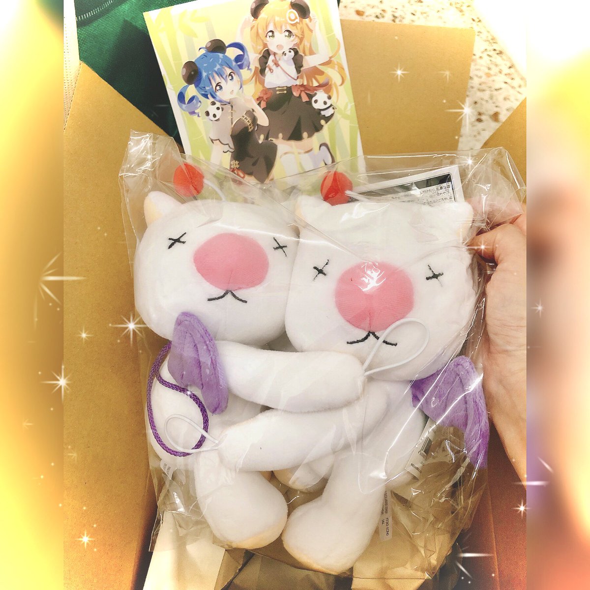 ayashinyanko's tweet photo. https://t.co/VPDugYO9dt