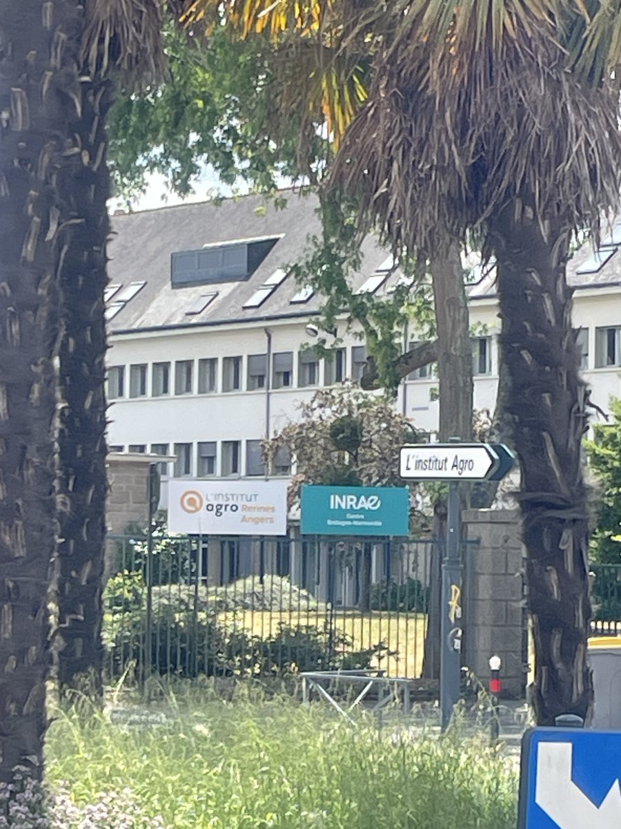kkormas's tweet photo. All set-up and ready to start our @aquacosm work @INRAE_Intl #Rennes, FR
#invasionalien @ISME_microbes @ESAMicrobe @KCMicrobiome @Hologenomes @BES_Microbial #research @BenthosNews @freshwaterblog @freshwater @aslo_org @SIL_limnology @aslo_org https://t.co/yy2kgYSXek