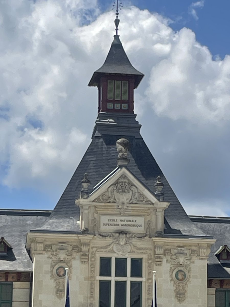 kkormas's tweet photo. All set-up and ready to start our @aquacosm work @INRAE_Intl #Rennes, FR
#invasionalien @ISME_microbes @ESAMicrobe @KCMicrobiome @Hologenomes @BES_Microbial #research @BenthosNews @freshwaterblog @freshwater @aslo_org @SIL_limnology @aslo_org https://t.co/yy2kgYSXek