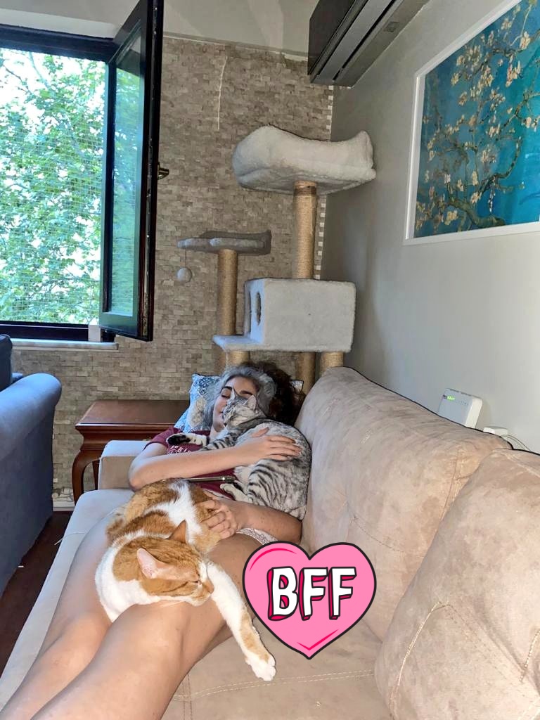 Pazar günleri kedi yatağı olarak hizmet vermekteyiz