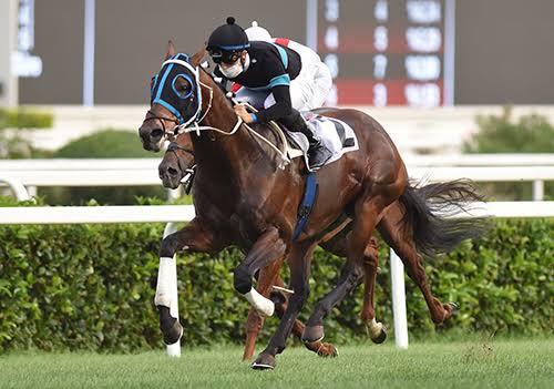 Şampiyon Long Runner'ın kaybı bizleri çok üzdü. <a href="/kurtelharasi/">Kurtel Harası</a> ve camiamıza geçmiş olsun dileklerimizi iletiyoruz.

Güle Güle Şampiyon