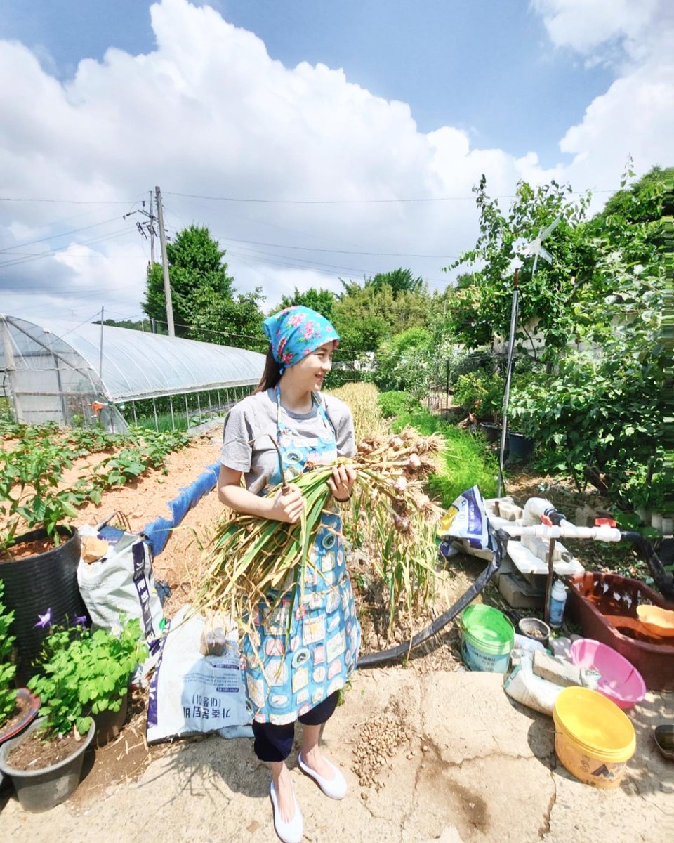 Kkorepo's tweet image. #ハジウォン、田舎の生活にすっかり適応…ゴムシンをはいてタマネギをむく 
korepo.com/archives/13015…