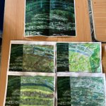 Photo by Coates Primary School (@CoatesPrimary_)