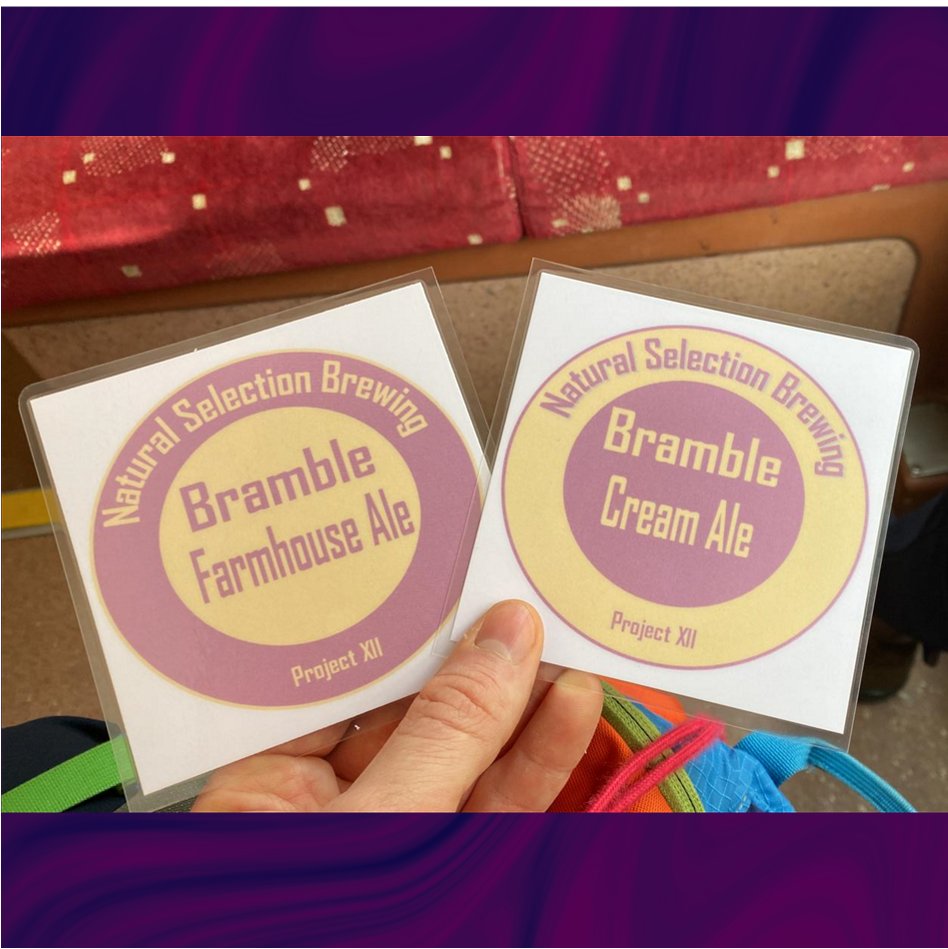 Natural Selection Brewing tweet media