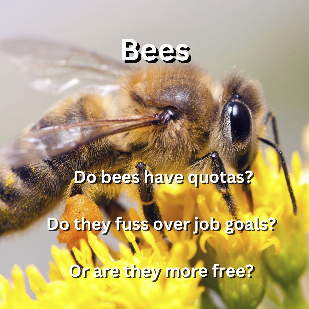 RobertESohl1's tweet image. 