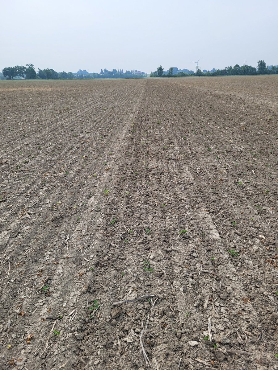 Alex Knight tweet media