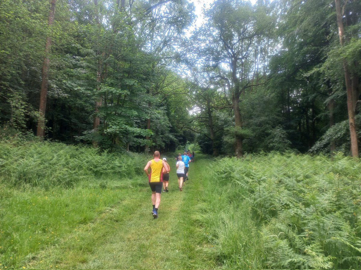 Emma Gascoigne (@emmajgascoigne) on Twitter photo That was a tough 10k trail run/hill <a href="/RunWytham/">Run Wytham Woods 10K, 5k and Fun Run</a>! Immensely rewarding though and beautiful to get the chance to run around this ancient woodland. Thanks to all the helpers and organisers. That was a tough 10k trail run/hill <a href="/RunWytham/">Run Wytham Woods 10K, 5k and Fun Run</a>! Immensely rewarding though and beautiful to get the chance to run around this ancient woodland. Thanks to all the helpers and organisers.