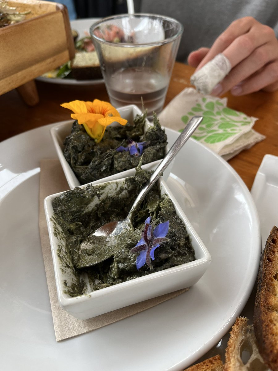 Ever think when you pod your broadbeans there’s a lot of plant waste with the pods? This is a hummus made from broad bean pods with some buckwheat, basil and 🌶️ - delicious, zero waste cooking from <a href="/JBDuboisChef/">Jean Baptiste Dubois</a> <a href="/Grow_HQ/">GROW HQ</a>
